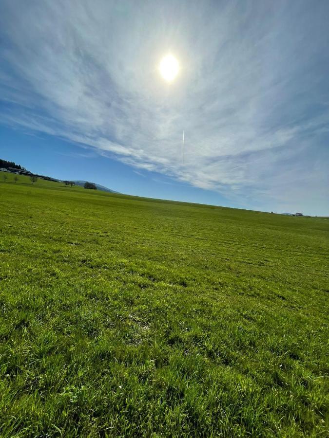 Hundefreundliche Unterkunft Im Muehlviertel In Oberoesterreich Freundorf エクステリア 写真